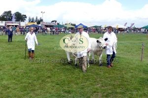 1771331526_1771331526_p1710756