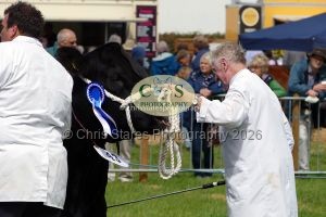 1771331529_1771331529_p1710759