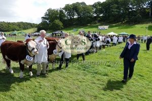 1771331538_1771331538_p1710769