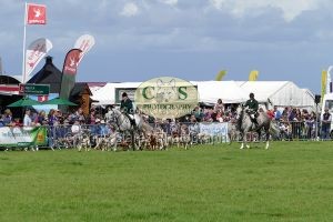 1771331545_1771331545_p1710784