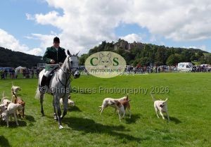 1771331549_1771331549_p1710788e