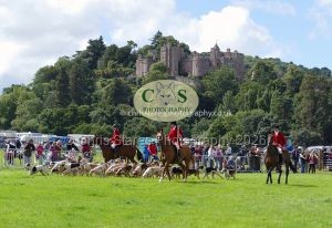 1771331551_1771331551_p1710790c