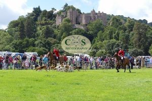 1771331557_1771331557_p1710795