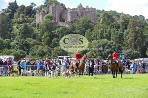 1771331560_1771331560_p1710799