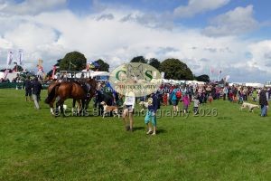 1771331563_1771331563_p1710803