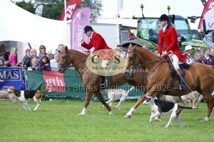 1771331569_1771331569_p1710812