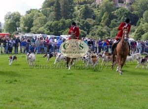 1771331570_1771331570_p1710813c