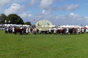 1771331600_1771331600_p1720037