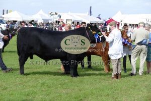 1771331604_1771331604_p1720040