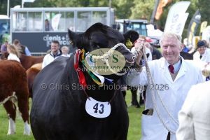 1771331606_1771331606_p1720042