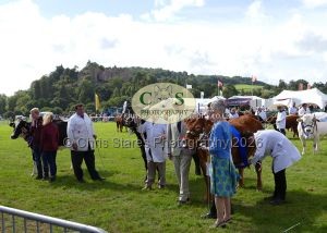 1771331607_1771331607_p1720044c