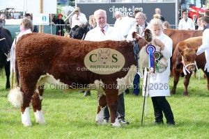 1771331611_1771331611_p1720052