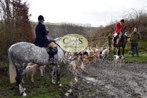 1771322050_1771322050_dsc-0433