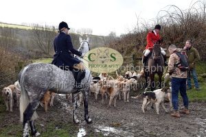 1771322051_1771322051_dsc-0445