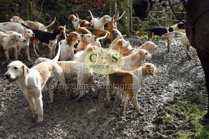 1771322071_1771322071_dsc-0479