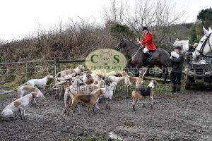 1771322078_1771322078_dsc-0493