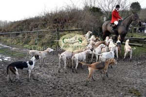 1771322079_1771322079_dsc-0497