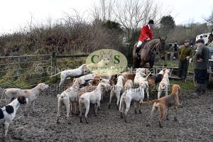 1771322081_1771322081_dsc-0498