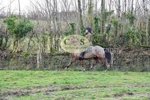 1771322119_1771322119_dsc-0544