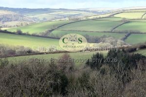 1771322210_1771322210_dsc-0636