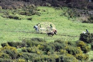 1771322223_1771322223_dsc-0656