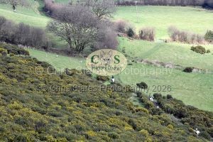 1771322229_1771322229_dsc-0662