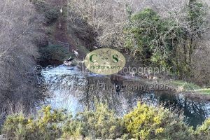 1771322235_1771322235_dsc-0667