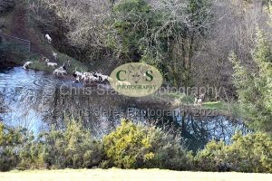 1771322237_1771322237_dsc-0668