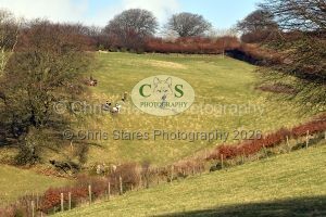 1771322240_1771322240_dsc-0676