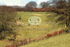 1771322243_1771322243_dsc-0678