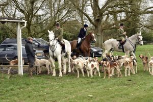 1772637214_1772637214_dsc8154