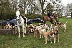 1772637220_1772637220_dsc8166