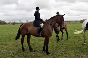 1772637223_1772637223_dsc8171