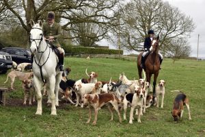 1772637228_1772637228_dsc8177