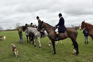 1772637230_1772637230_dsc8179