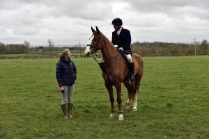 1772637233_1772637233_dsc8182