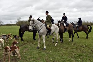 1772637235_1772637235_dsc8184