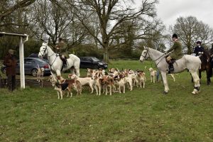 1772637238_1772637238_dsc8190