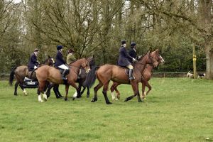 1772637240_1772637240_dsc8193