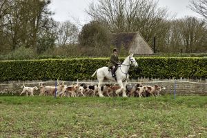 1772637242_1772637242_dsc8195