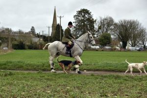 1772637246_1772637246_dsc8200