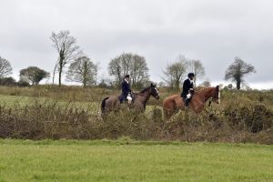 1772637259_1772637259_dsc8217