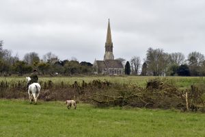 1772637261_1772637261_dsc8218