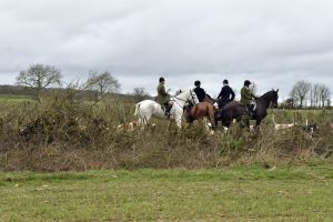 1772637262_1772637262_dsc8222