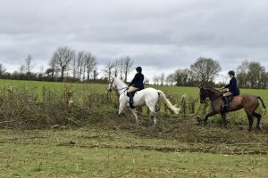 1772637266_1772637266_dsc8225