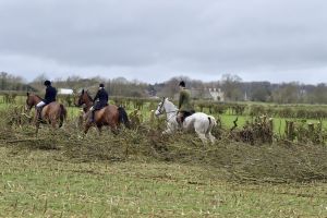 1772637269_1772637269_dsc8227