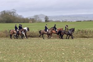 1772637273_1772637273_dsc8233