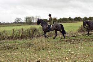 1772637279_1772637279_dsc8238