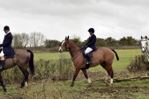 1772637288_1772637288_dsc8245