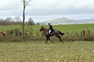 1772637296_1772637296_dsc8254